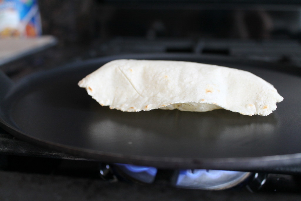 Homemade Corn Tortillas