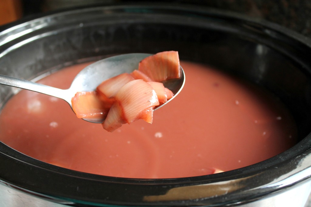 Turkey and kidney bean soup