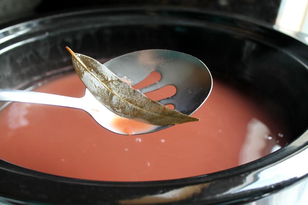 Turkey and kidney bean soup