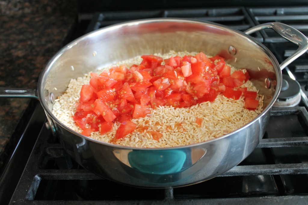 Shrimp and Garlic in Mexican Rice
