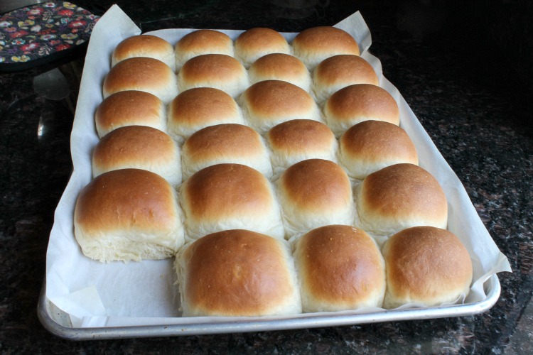 Homemade Butter Rolls Homemade Butter Rolls 12