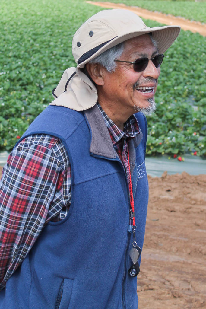 California Strawberries Farm Tour 